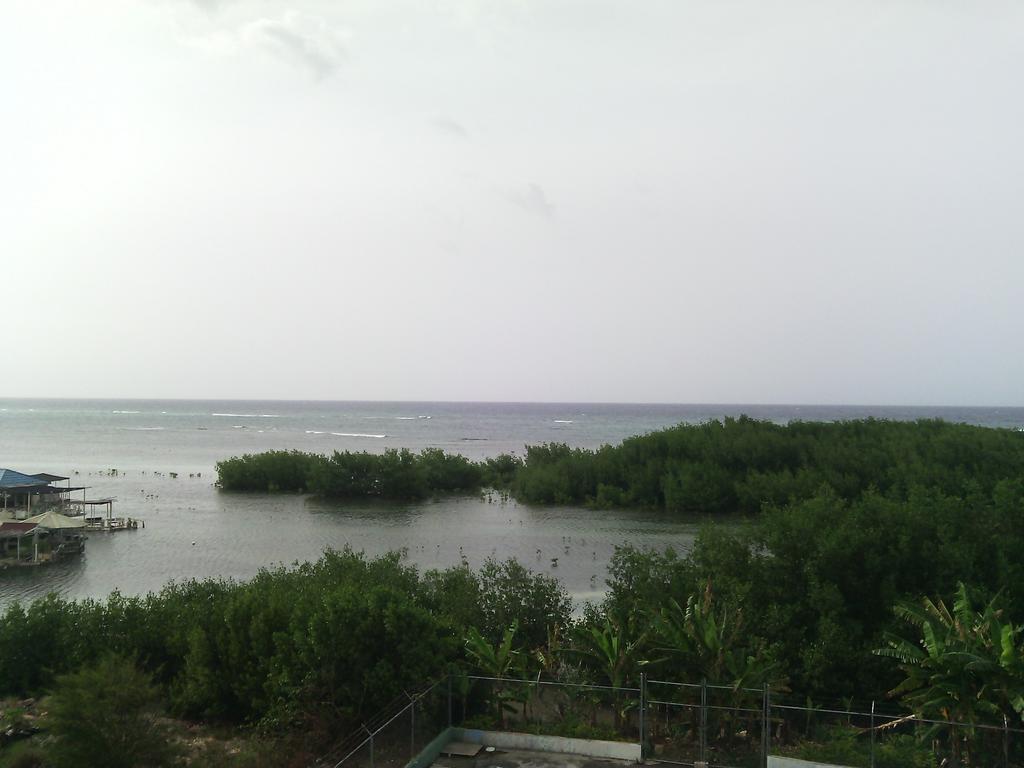 Hotel Tropik Leadonna Montego Bay Exterior photo